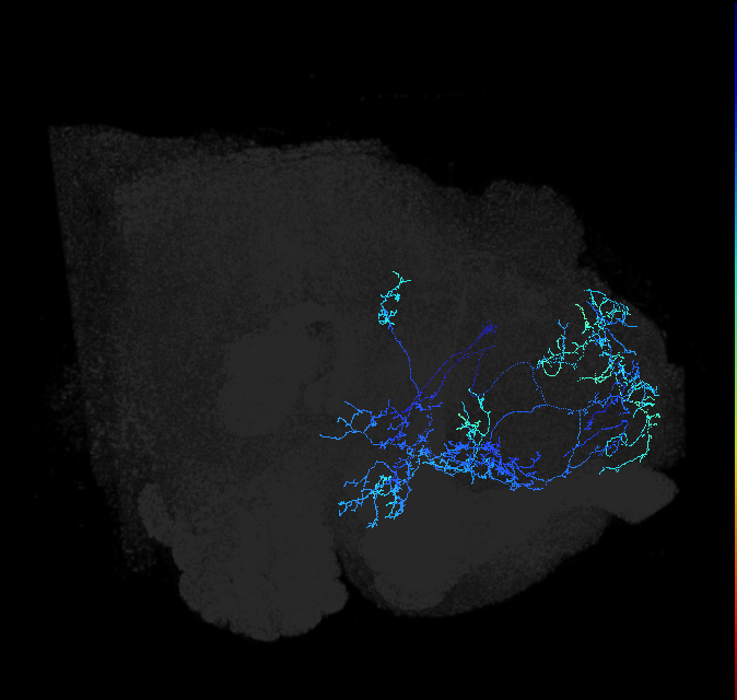 ADL05of_pct_R