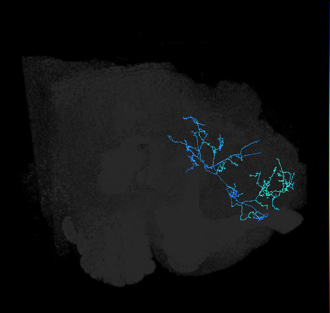 ADL18n_pct_R