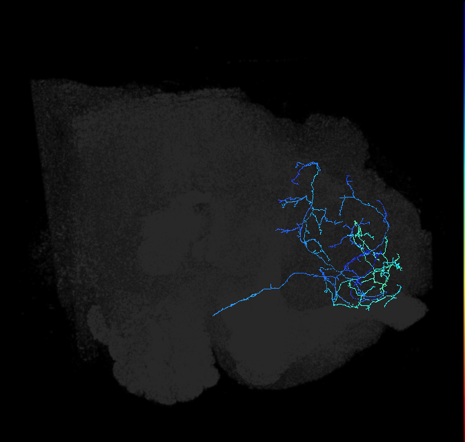 ADL18e_pct_R