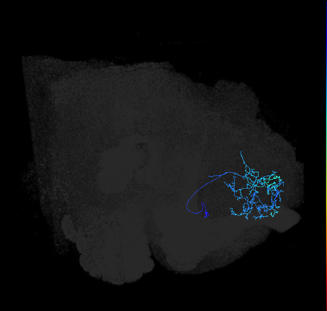 ADL20j_b_pct_R