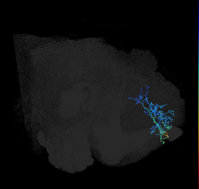ADL17q_pct_R