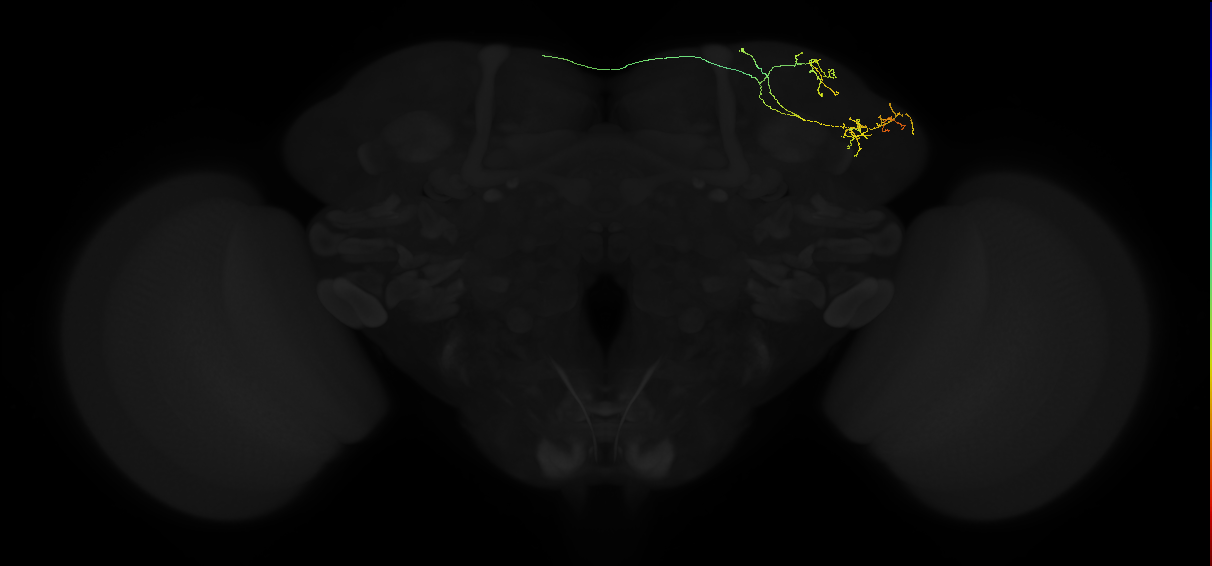 ADL17d_c_pct_R