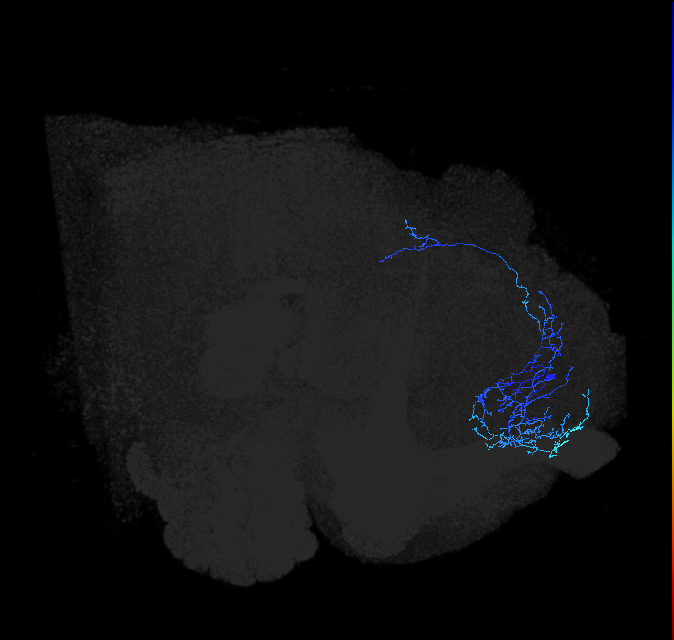 ADL18c_pct_R
