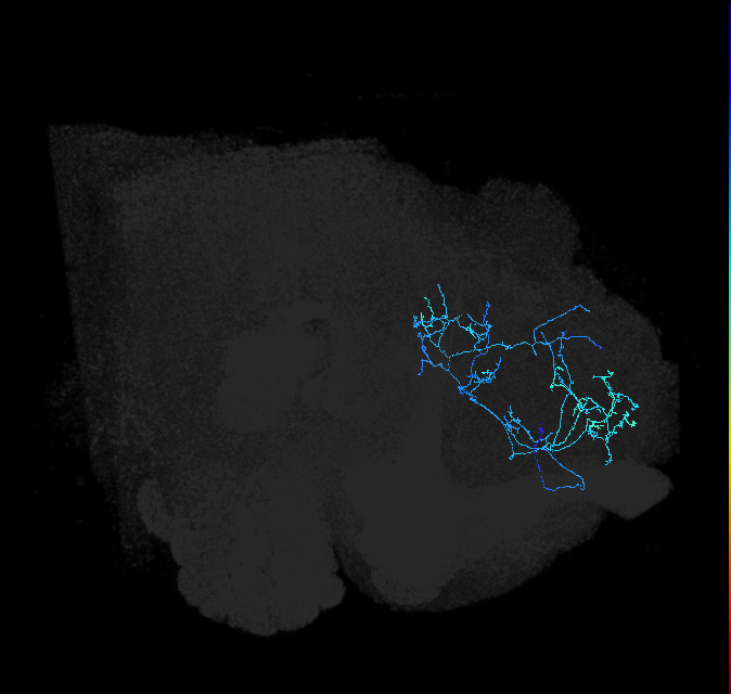 ADL18n_pct_R