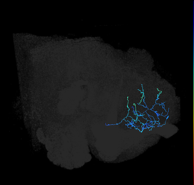 ADL18j_pct_R