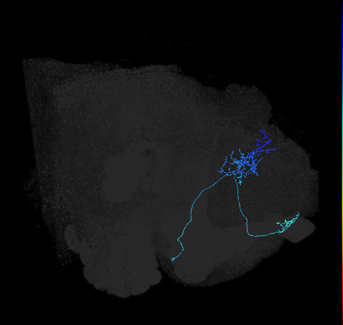 ADL19v_pct_R