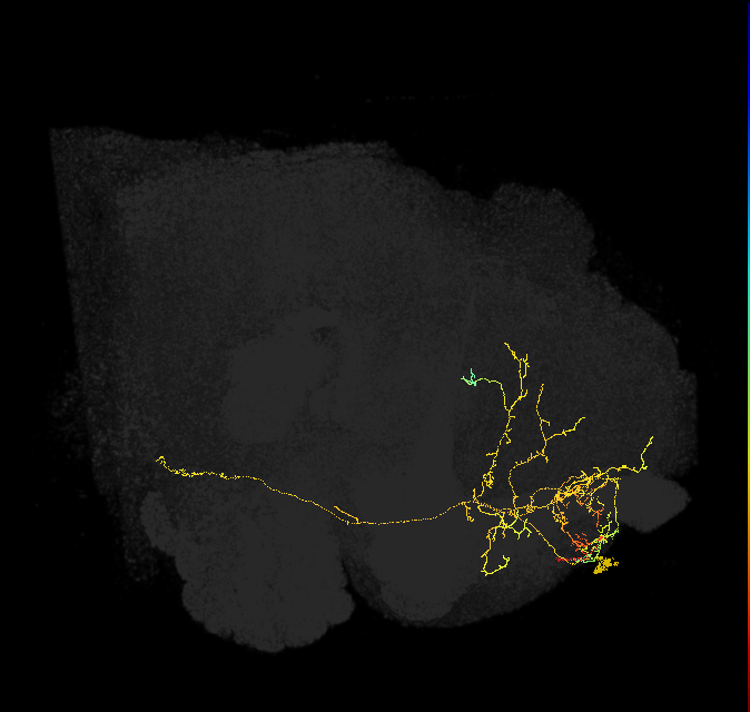 ADM04d_pct(aSP17)_R