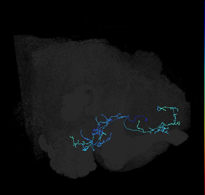 ADL03g_pct_R