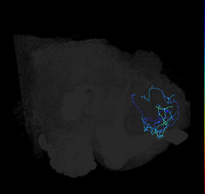 ADL18r_pct_R