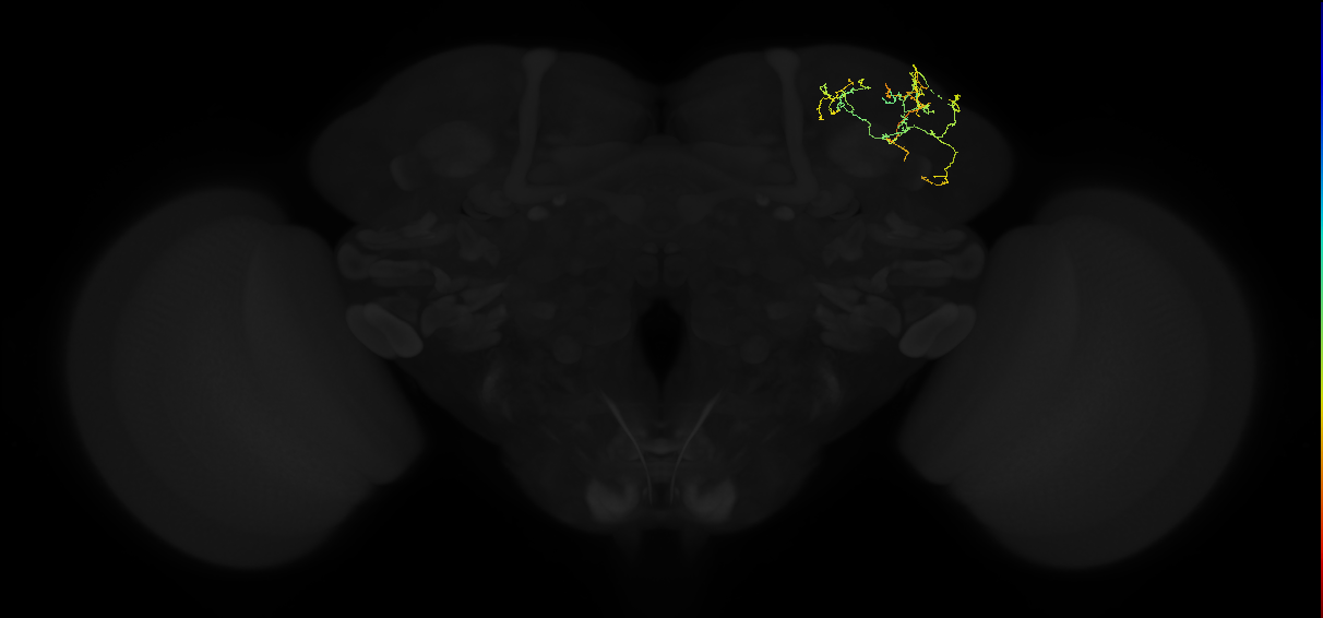 ADL18r_pct_R