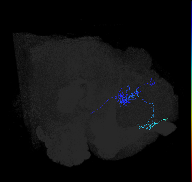 ADL04p_b_pct_R