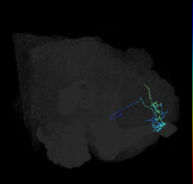 ADL09v_pct_R