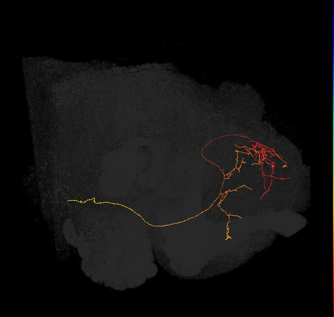 (PDM12)_L