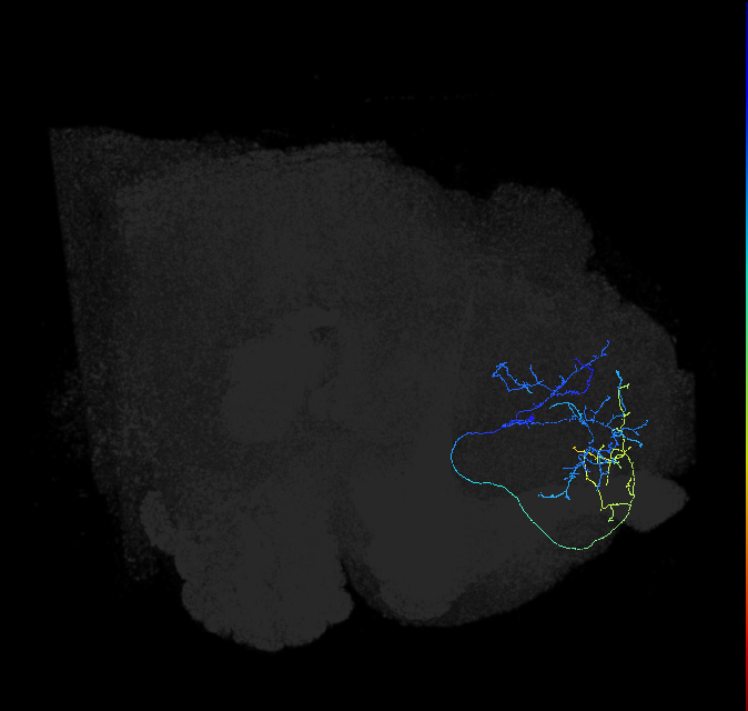 ADL15of_pct_R