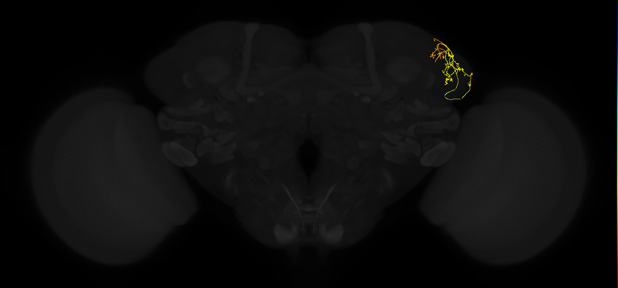 ADL01lx_pct_R