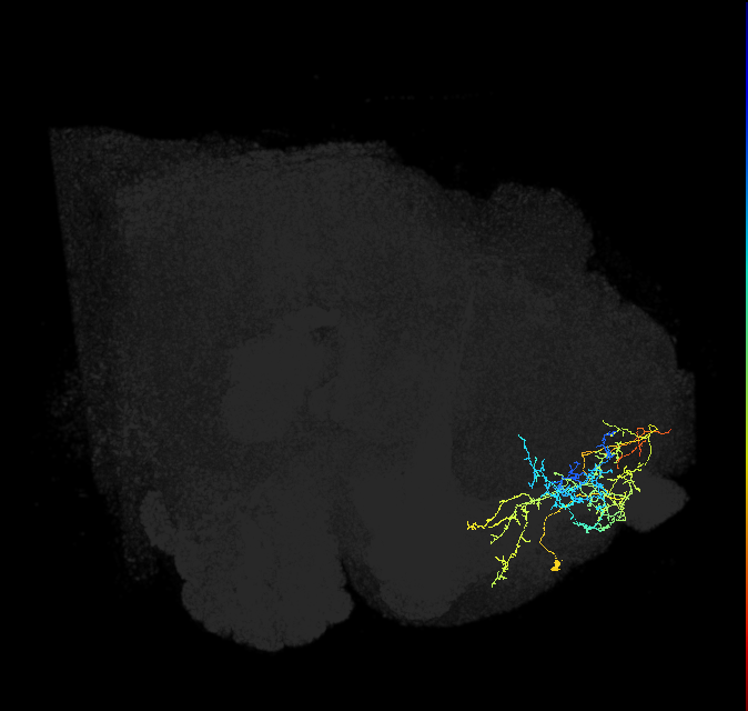 ADM04od_pct(aSP25a)_R