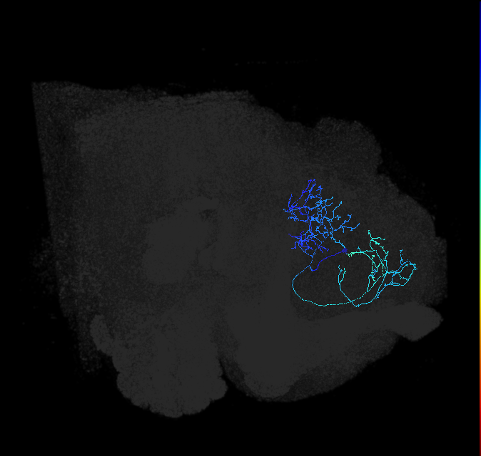 ADL02lk_pct_R