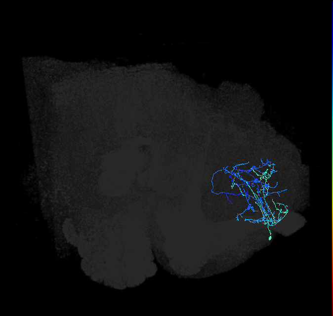ADL17e_pct_R