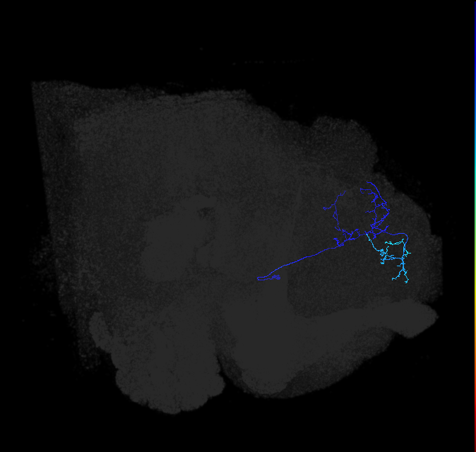 ADL11c_a_pct_R