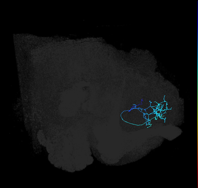 ADL02olb_pct(pSP3c)_R