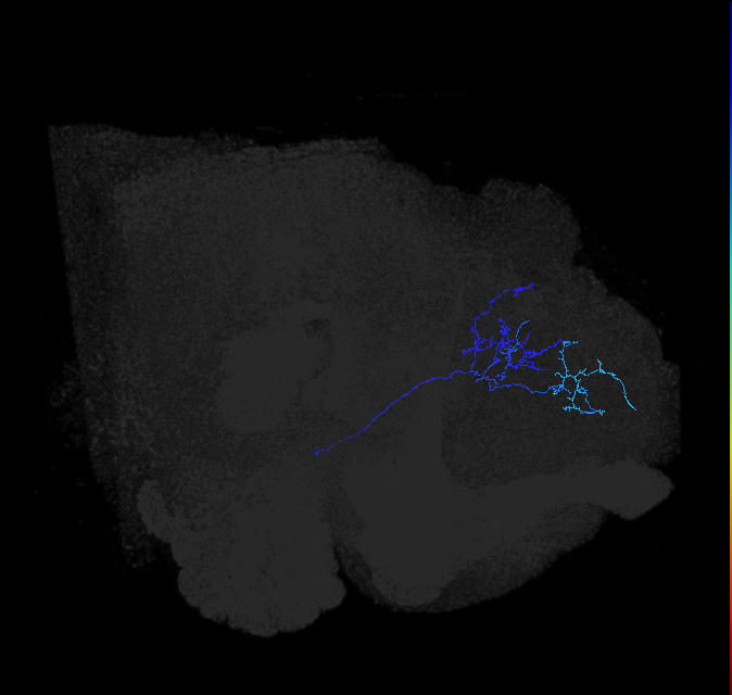 ADL04of_pct_R