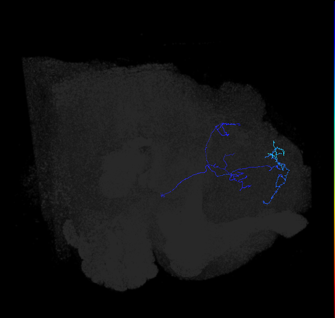 ADL04j_pct_R