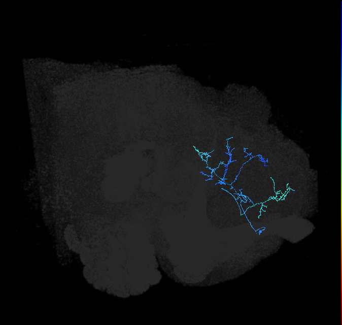 ADL18h_pct_R