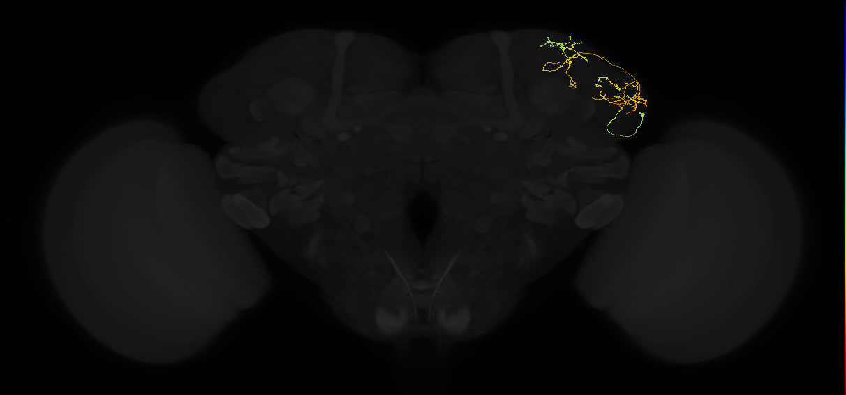 ADL11q_pct_R