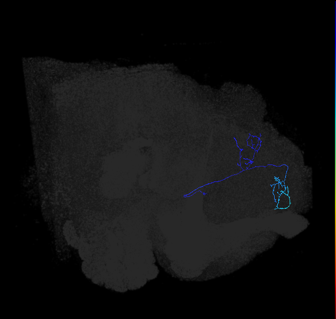 ADL11h_c_pct_R