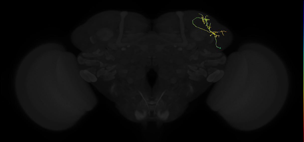 ADL13q_pct_R