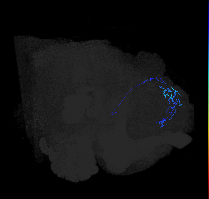 ADL10c_pct_R