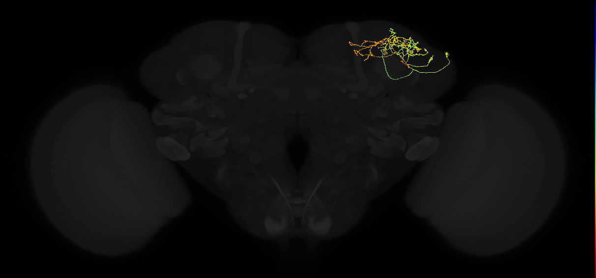 ADL02oq_pct_R