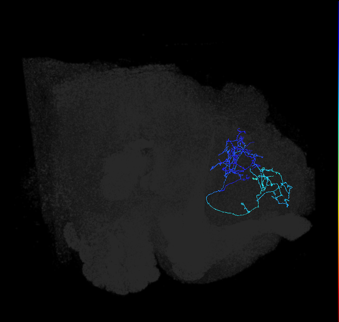 ADL02p_pct_R