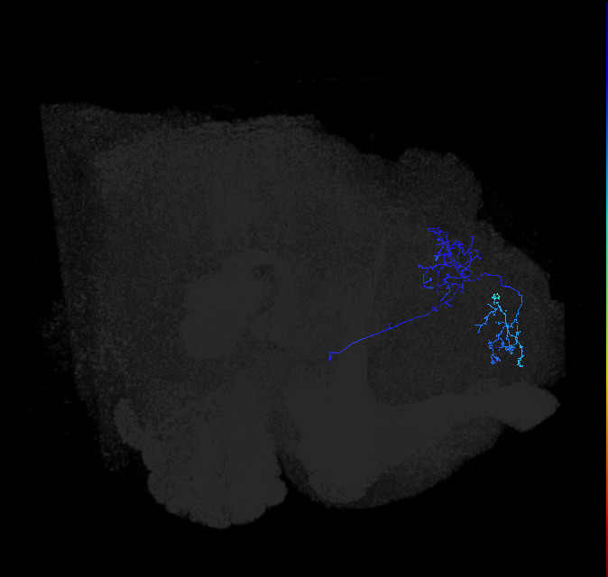 ADL11c_a_pct_R