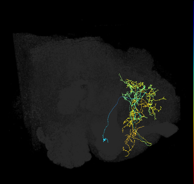 ADL19d_pct_R