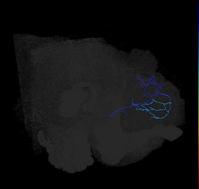 ADL11g_pct_R