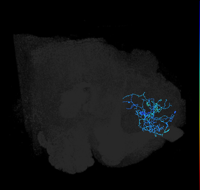ADL18old_pct_R