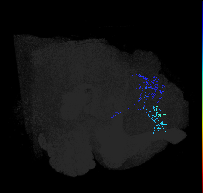 ADL11d_pct_R