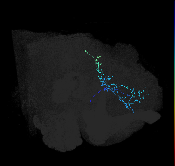 ADL04h_pct_R