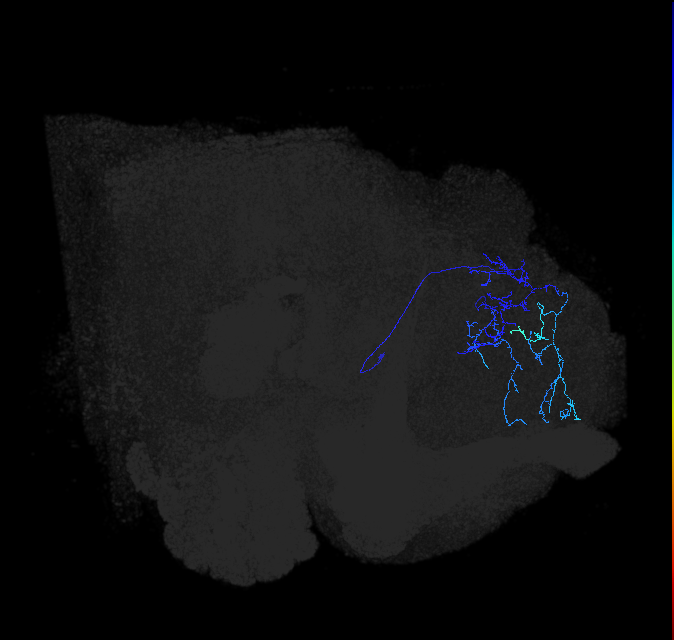 ADL10m_b_pct_R