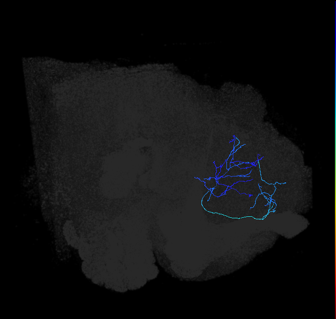 ADL03p_pct_R