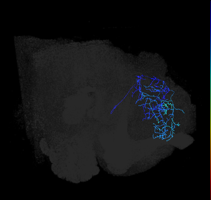 ADL10e_pct_R