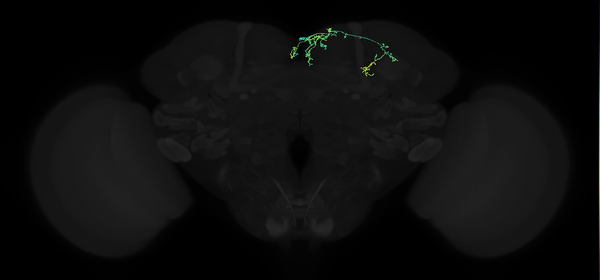 ADM04n_d_pct_R