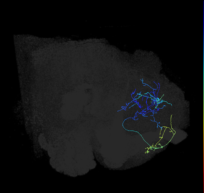 ADL15g_f_pct_R