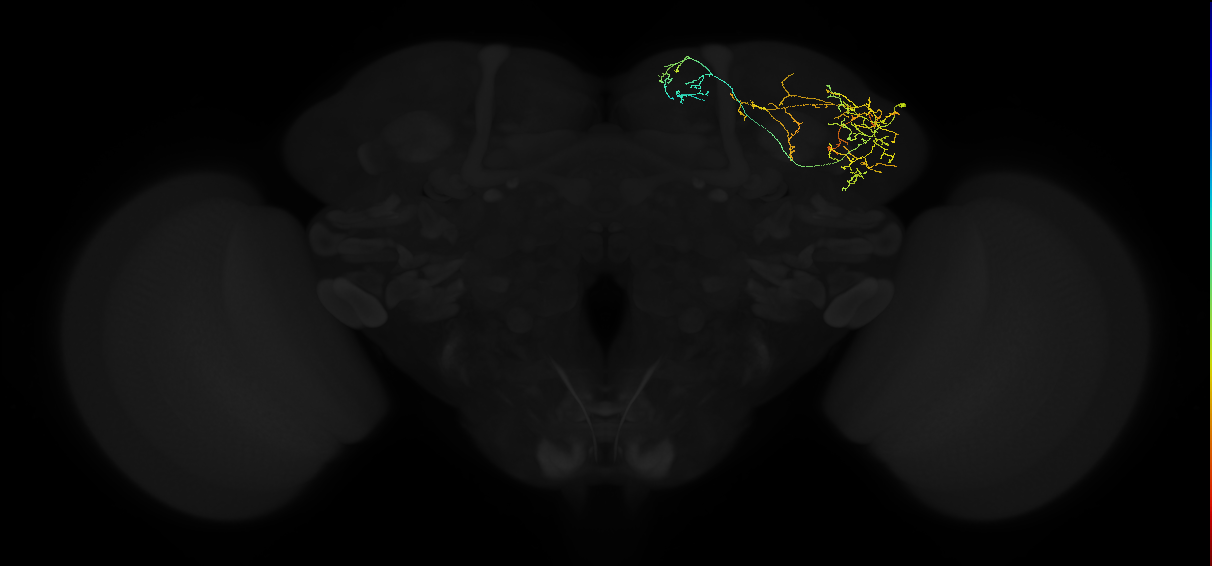 ADL15g_f_pct_R