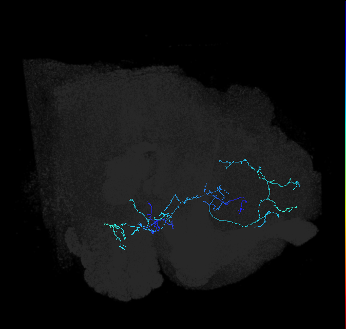 ADL03oq_pct_R