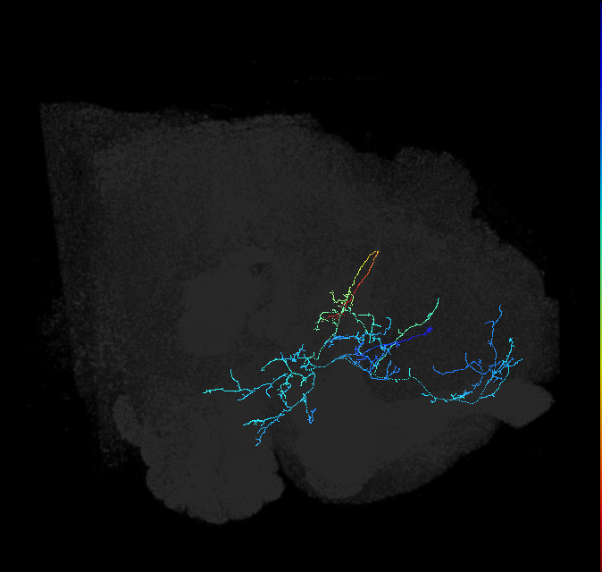 ADL21j_pct_R