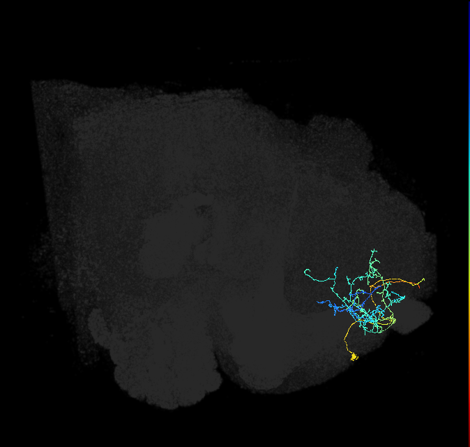 ADM04t_pct(aSP25c)_R