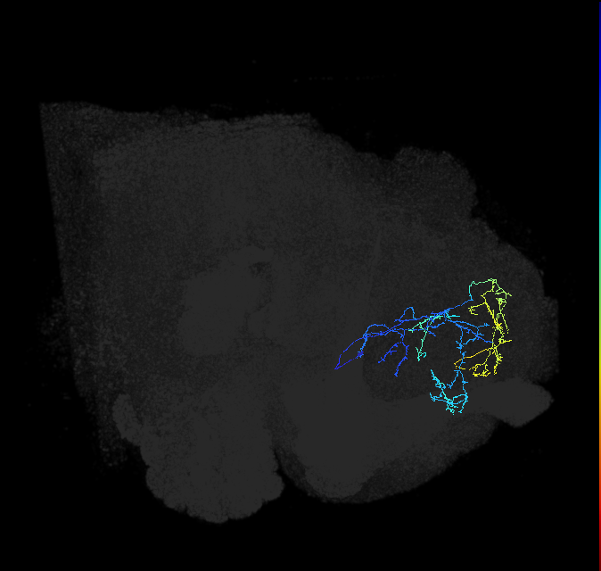 ADL16m_pct_R