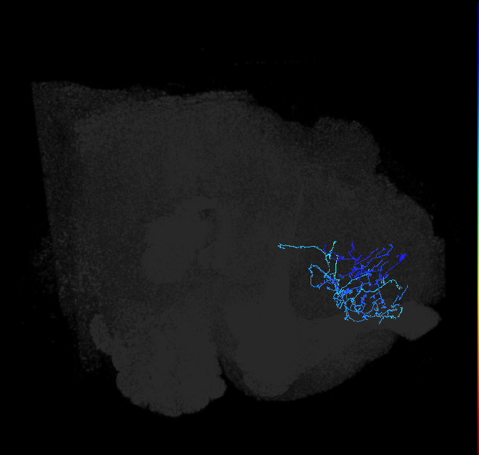 ADL18g_pct_R